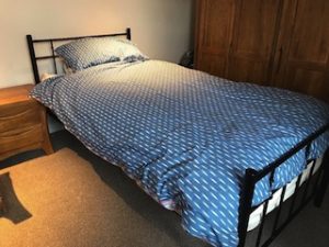 A black cast iron single bed frame, together with a white silent night single mattress.